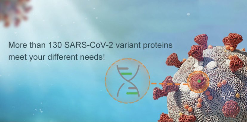 📌COVİD-19 ÜRÜNLERİ
SARS- Cov-2 Varyant proteinleri

Elabscience.com/sars_cov_2_var…