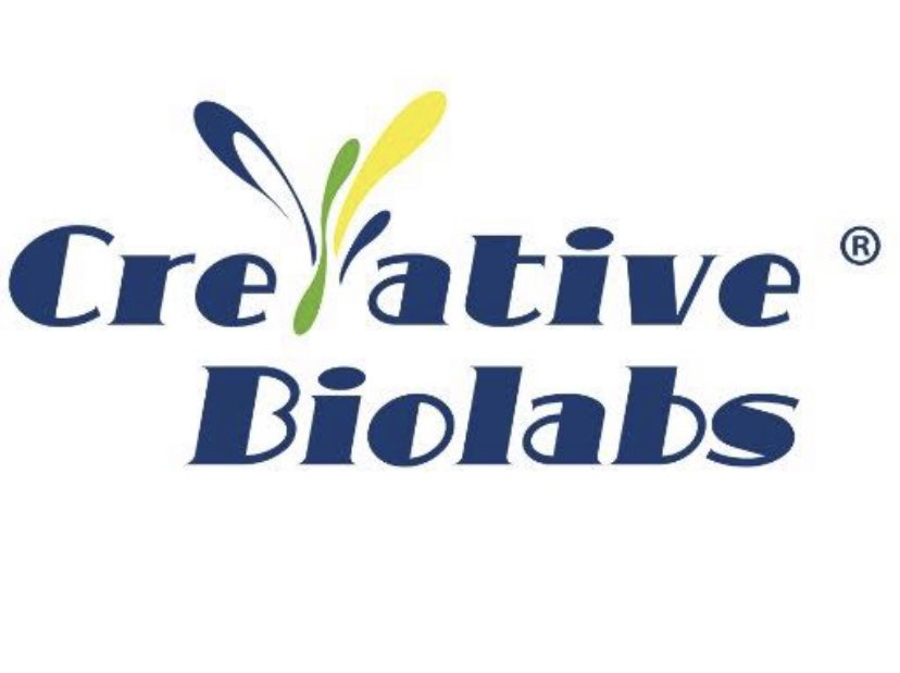 📌COVİD-19 ÜRÜNLERİ 
Spike Protein ELISA kit

novagentek.com.tr/spike-protein-…