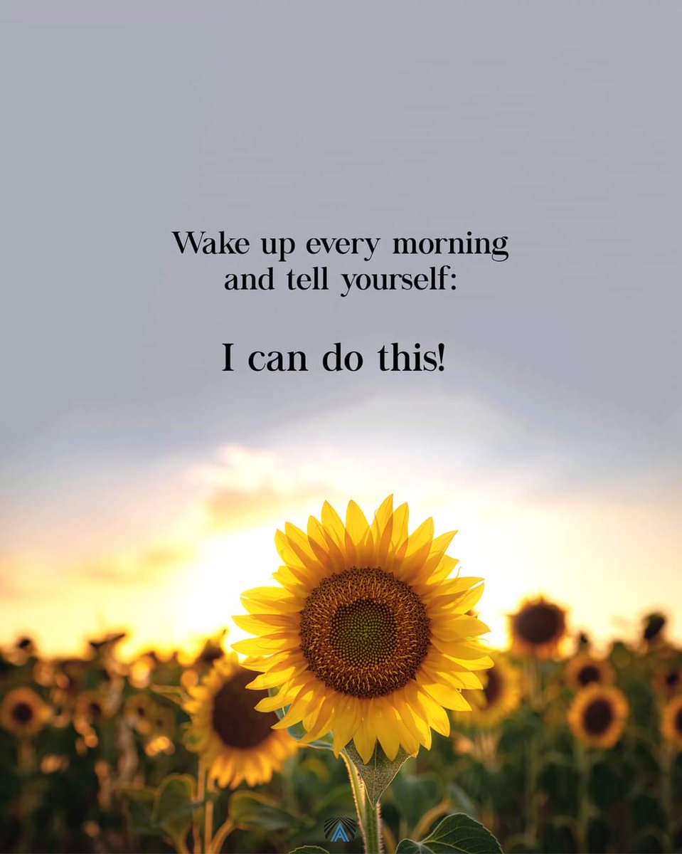 CSue531's tweet photo. Good morning. https://t.co/0dF81zqxpv