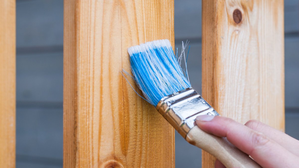 GoConstructUK's tweet photo. Congratulations to #Apprentice Nicole Germaine who won Senior Apprentice of the Year at the National Painting &amp; Decorating Award!

The PDA celebrate the highest standards of painting and decorating over the past year.

Read the full article here https://t.co/r99z1lr3QV https://t.co/axGJompa8u
