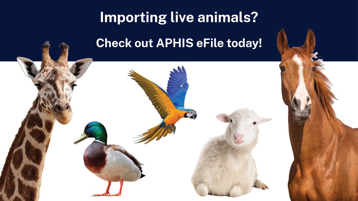 USDA_APHIS's tweet photo. Importing live animals? Use our new permitting system, APHIS eFile, to apply today! Go to https://t.co/MGn8xiUeDd to get started! #import #permitting #veterinary #USDAAPHIS https://t.co/SzanjAdBMK