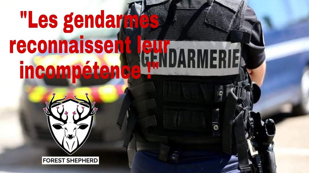 fs_bretagne's tweet photo. Les gendarmes demandent aux victimes de déposer plainte et s'excusent finalement!
Dans l'affaire des #2chatstués à #Laillé par 1 meute de chiens, les gendarmes reviennent sur leur décision !

Si vous aussi, vous êtes victimes d'abus des #chasseurs, contactez nous ! https://t.co/1XaYdjNsQZ