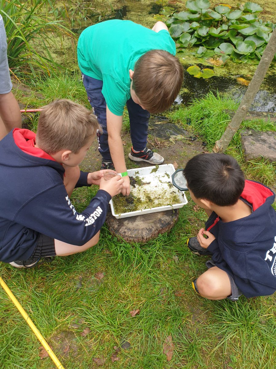 14th Wallington Cubs tweet media