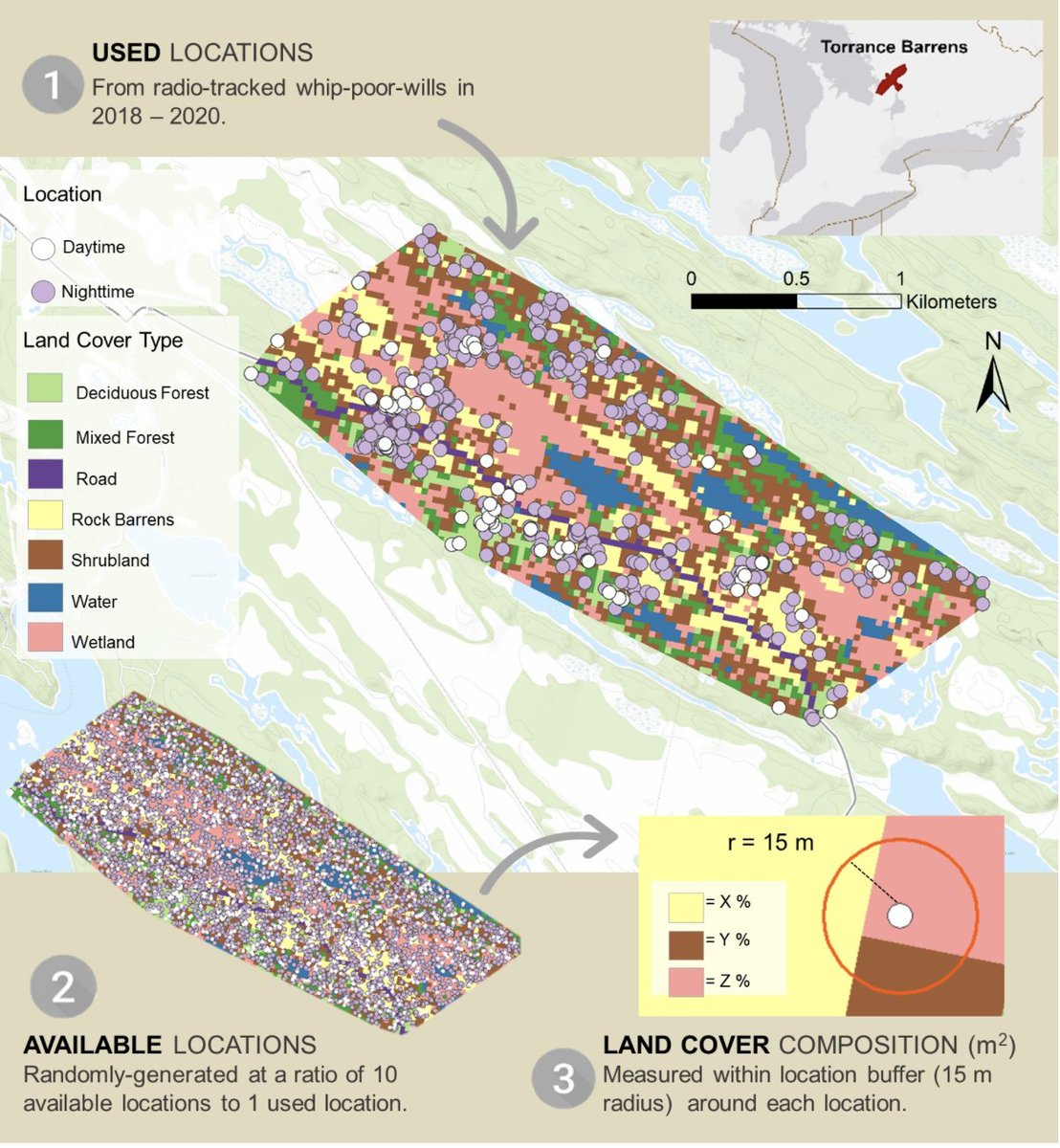 ellycknight's tweet photo. Whoop whip! Hot #nightjar news. @elora_grahame has a new paper out in @AvianAce on the importance of rock barrens for Eastern Whip-poor-will breeding habitat. Check it out!

https://t.co/kkmcfmDXEx

PS Check out this amazing study area fig https://t.co/vgIFunEdLz
