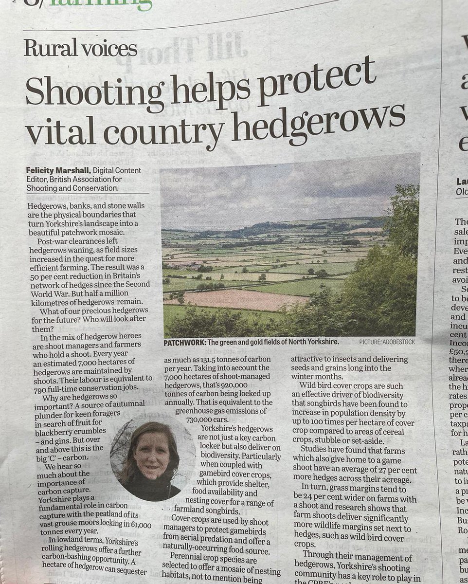 Felicity Marshall tweet media