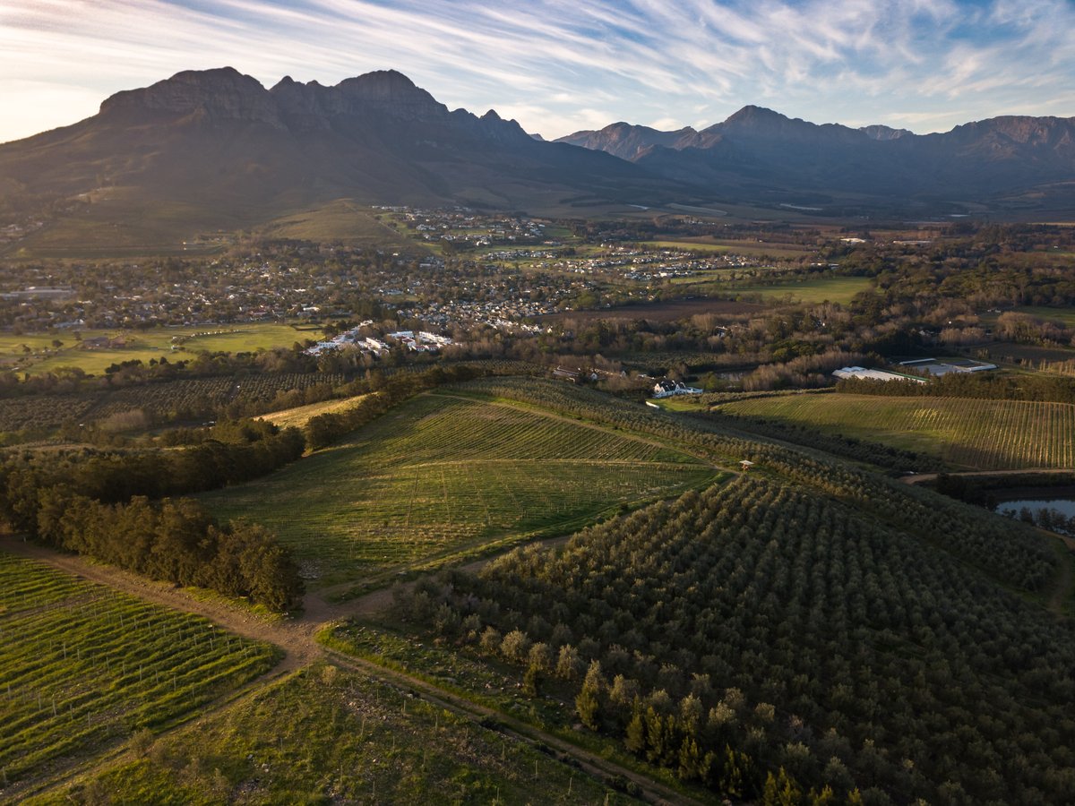 Morgenster Estate thrives in inspiring people through its combination of beautiful landscape, excellent terroir and award-winning products.

Come and soak in these views and years of tradition &amp; passion-in-action.
