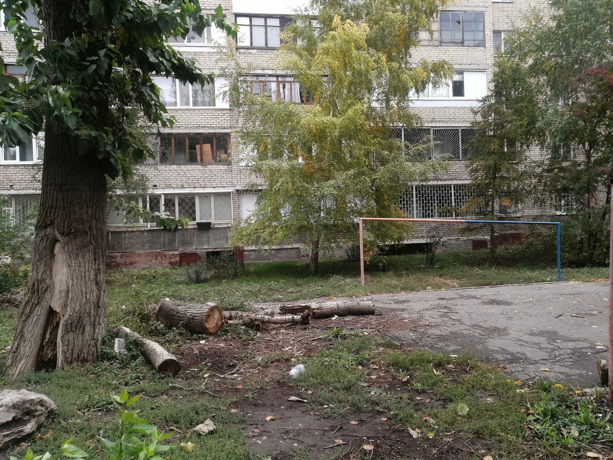 Павел tweet media