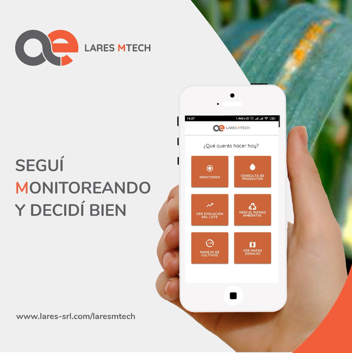 LaresSRL1's tweet photo. Nuevo #InformeLares

  🌾 Los trigos ingresan en periodo crítico de definición de rendimiento. 🌧️ Se requieren precipitaciones en toda la región. 

Seguí monitoreando y decidí bien ✅

#LaresMTech #YoMonitoreo https://t.co/IBMbneYg5K