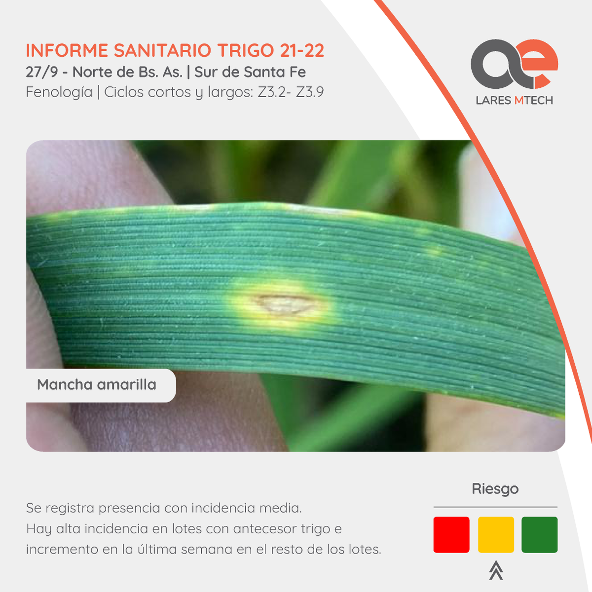 LaresSRL1's tweet photo. Nuevo #InformeLares

  🌾 Los trigos ingresan en periodo crítico de definición de rendimiento. 🌧️ Se requieren precipitaciones en toda la región. 

Seguí monitoreando y decidí bien ✅

#LaresMTech #YoMonitoreo https://t.co/IBMbneYg5K