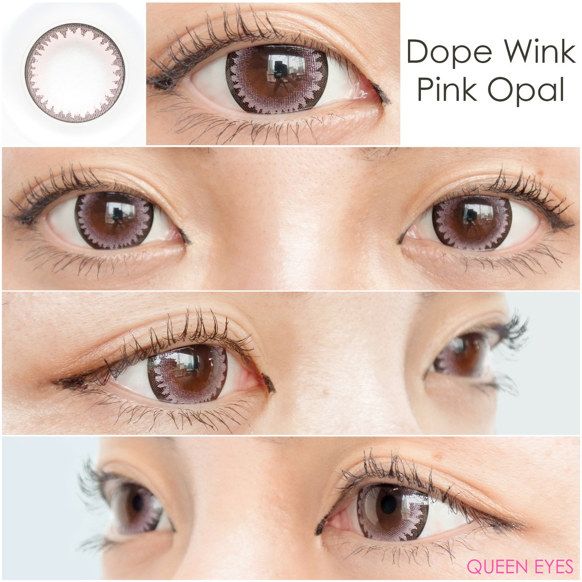 希少 アイスピンク　ドルフィン BIRTH】Pink Dolphin 40% 500ml | 酒・ブランデーの通販|株式会社酒匠