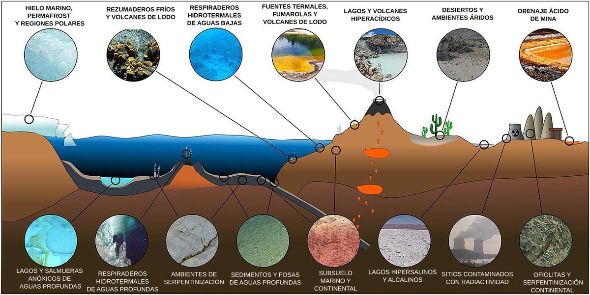 Biotecnólogo cabreado con Brillos Platino 🕊️ tweet media