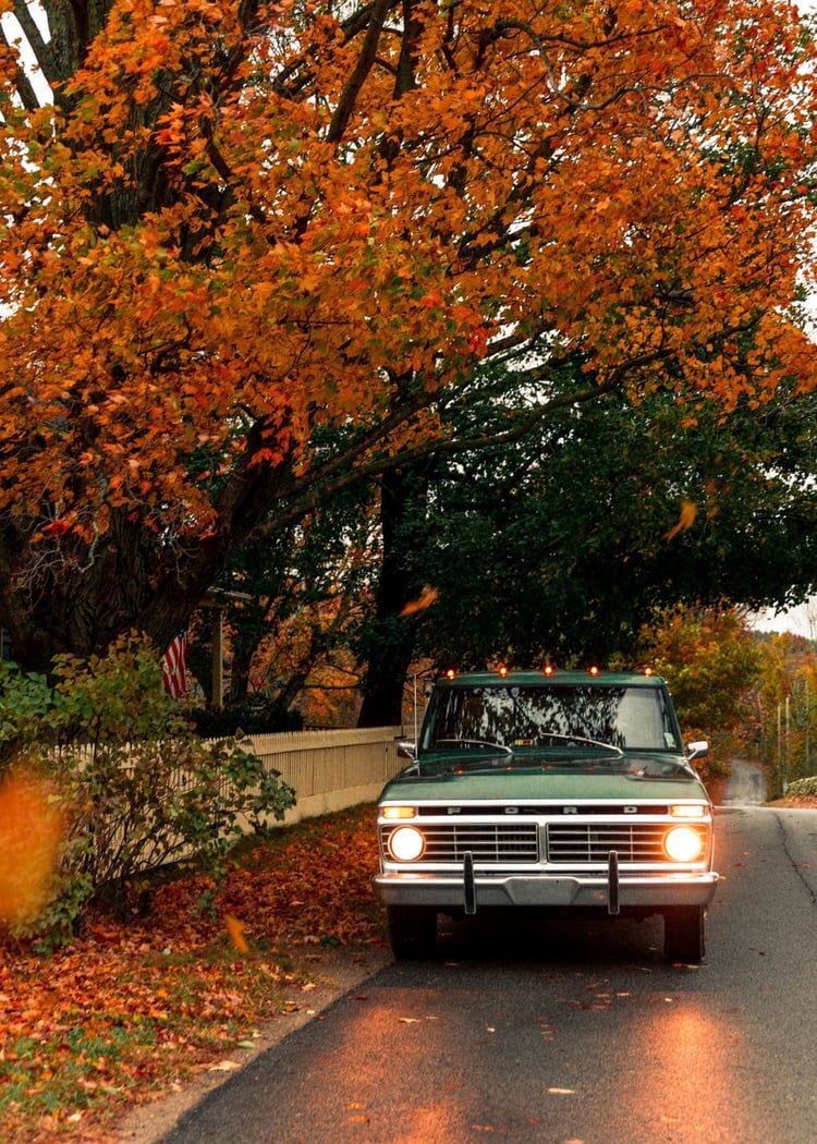 the best season has arrived 🍂✨