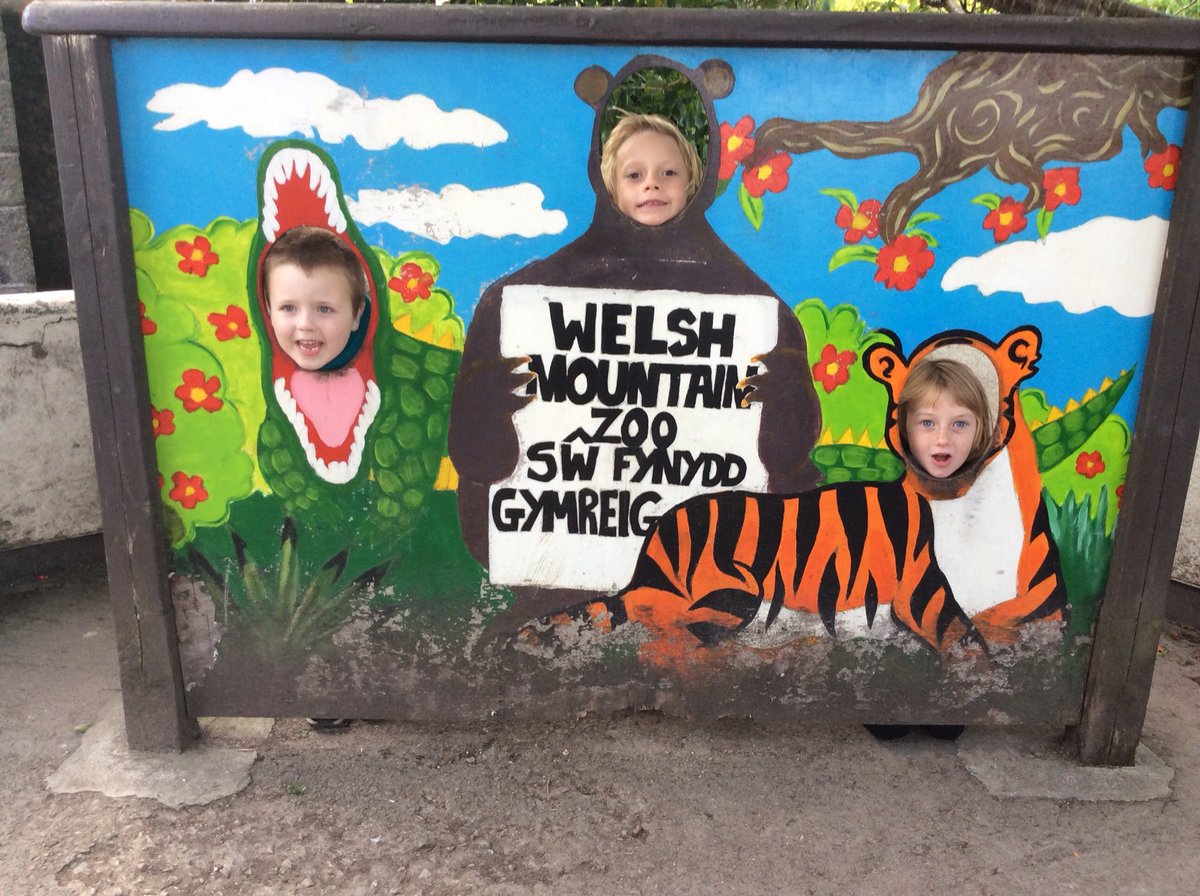 Ysgol Sŵn Y Don tweet media