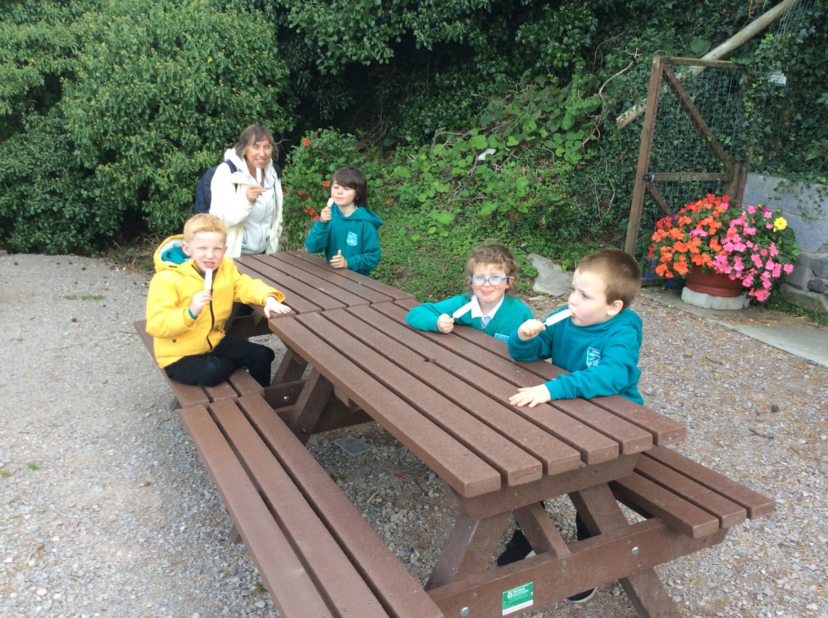 Ysgol Sŵn Y Don tweet media