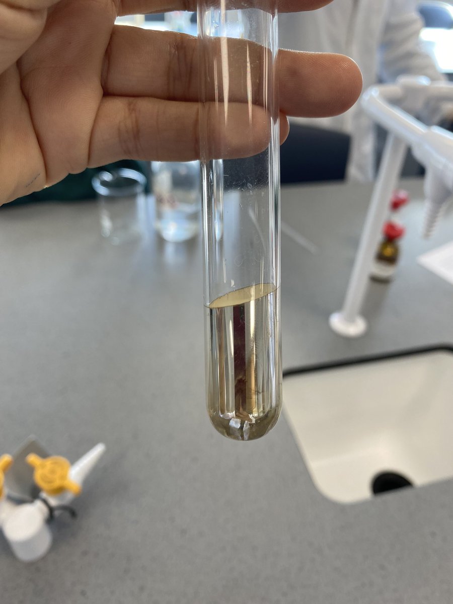 St Dunstan's STEM tweet media