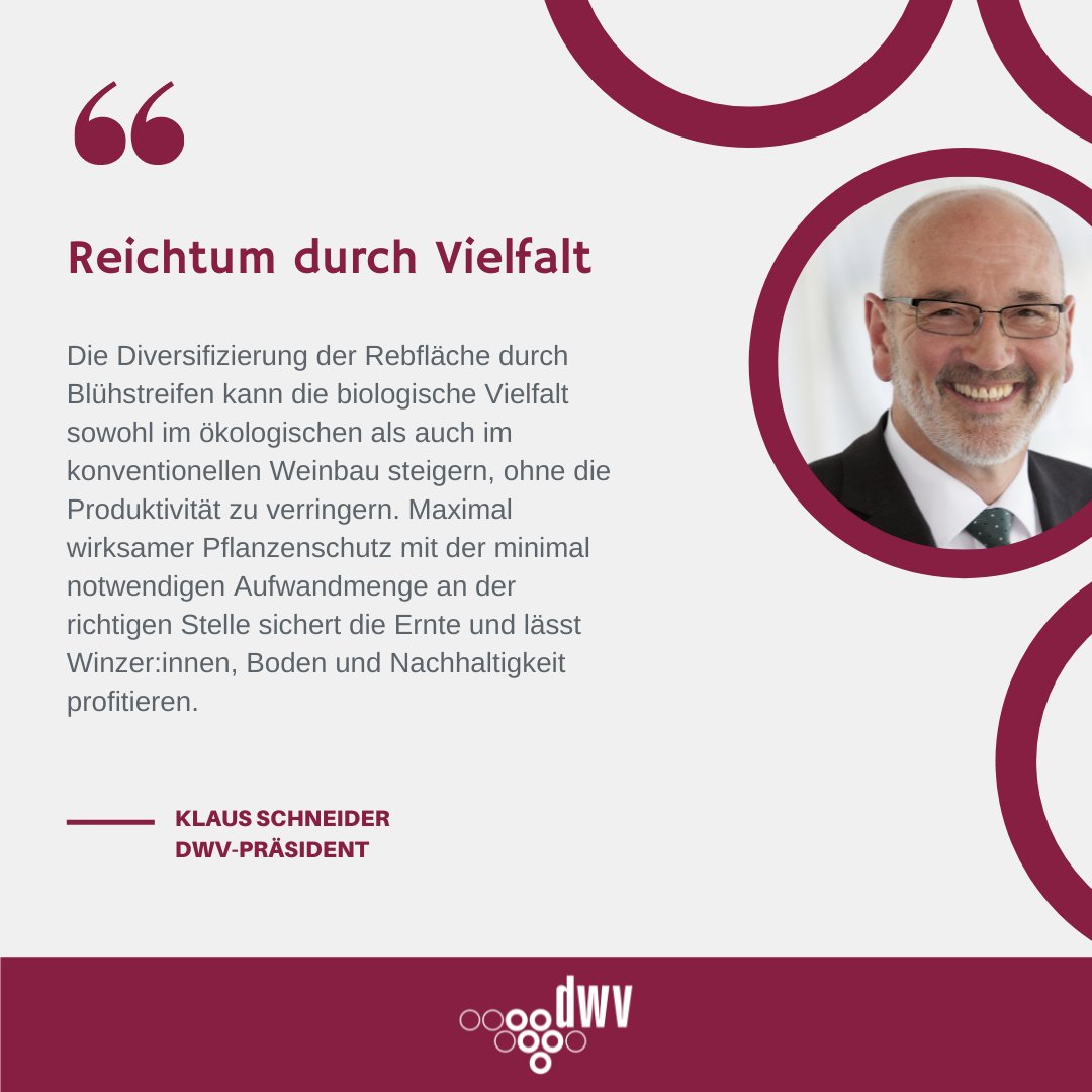 DWV-Standpunkt 📍 Reichtum durch Vielfalt

👉 kurzelinks.de/k13v