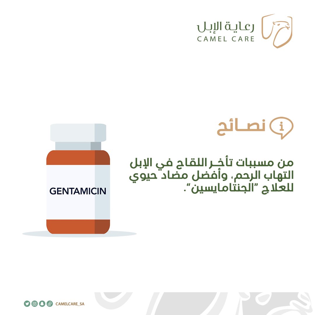 أفضل مضاد حيوي لعلاج التهاب الرحم:

#رعاية_الابل