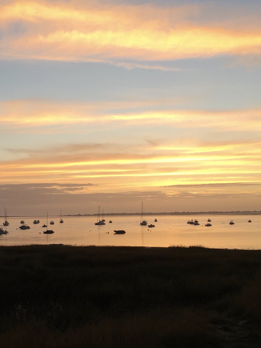 Deb_Farm's tweet image. Good morning!