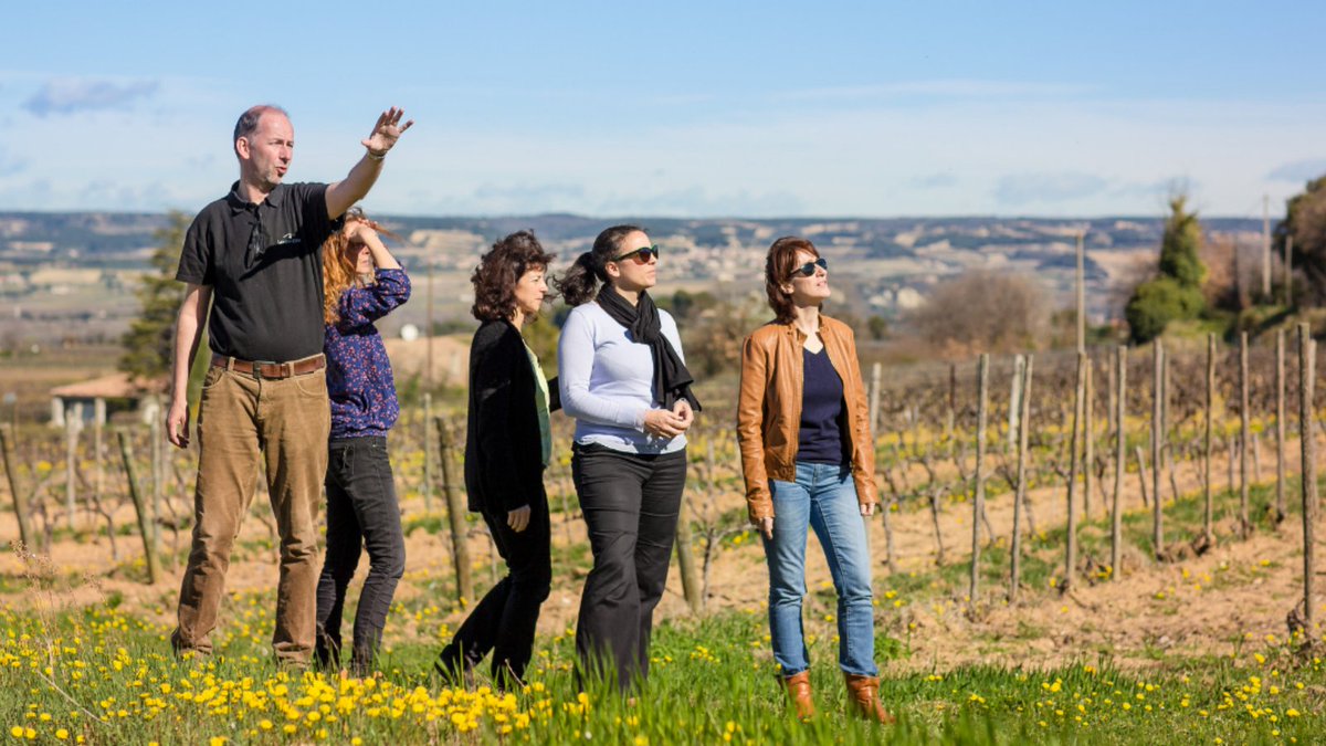 Gabriel Meffre tweet media