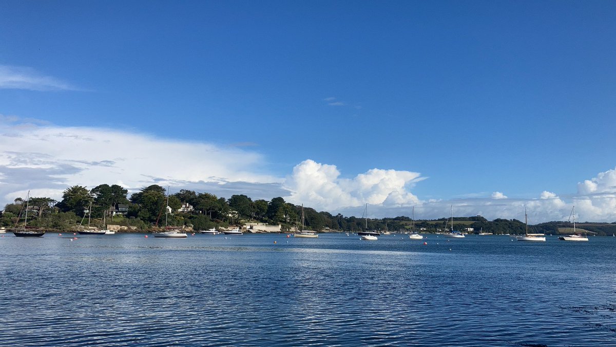 ⁦@Prof_IeuanEllis⁩ yes, Ieuan, very Autumnal here in Mylor too.