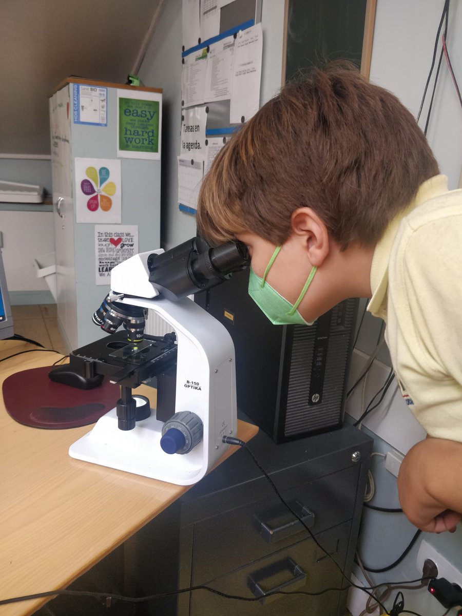 ColegioAfuera's tweet photo. What the cell?! Los alumnos de 5º aprenden acerca de las células vegetales y animales con el microscopio en clase de Science 🧫🔬. #labpractice #science #ciencia https://t.co/qjMsqOqk3v