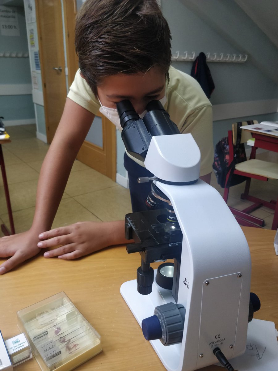 ColegioAfuera's tweet photo. What the cell?! Los alumnos de 5º aprenden acerca de las células vegetales y animales con el microscopio en clase de Science 🧫🔬. #labpractice #science #ciencia https://t.co/qjMsqOqk3v