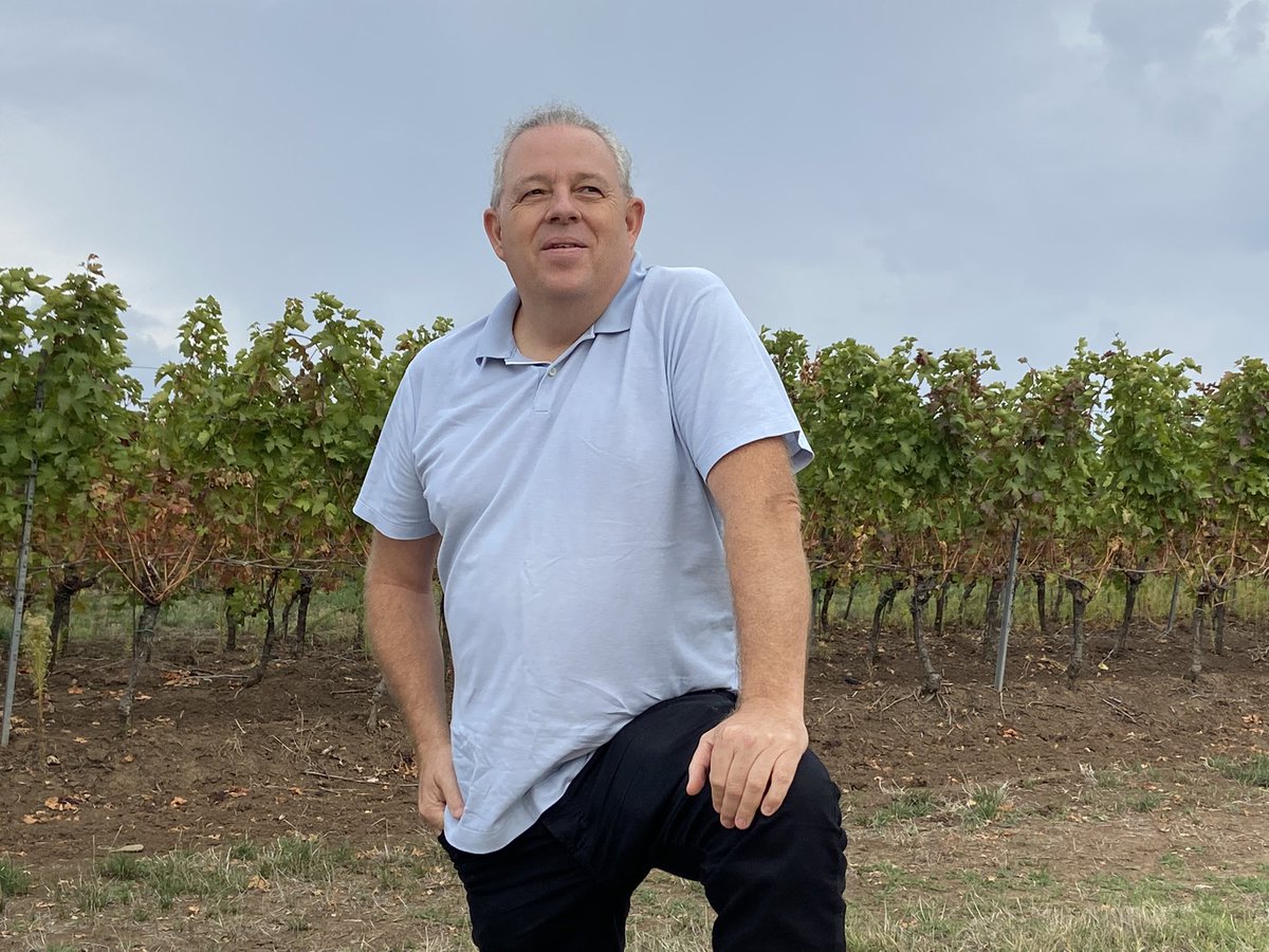 richardsiddle's tweet photo. With another strong harvest in Romania @CrameleRecasEU is receiving “massive” demand from UK importers/multiples looking to secure fruit to make up for bad French &amp; other EU harvests. Challenge is how to allocate its wines to customers now all over the world says @cox_home https://t.co/U68ZSWRuTc