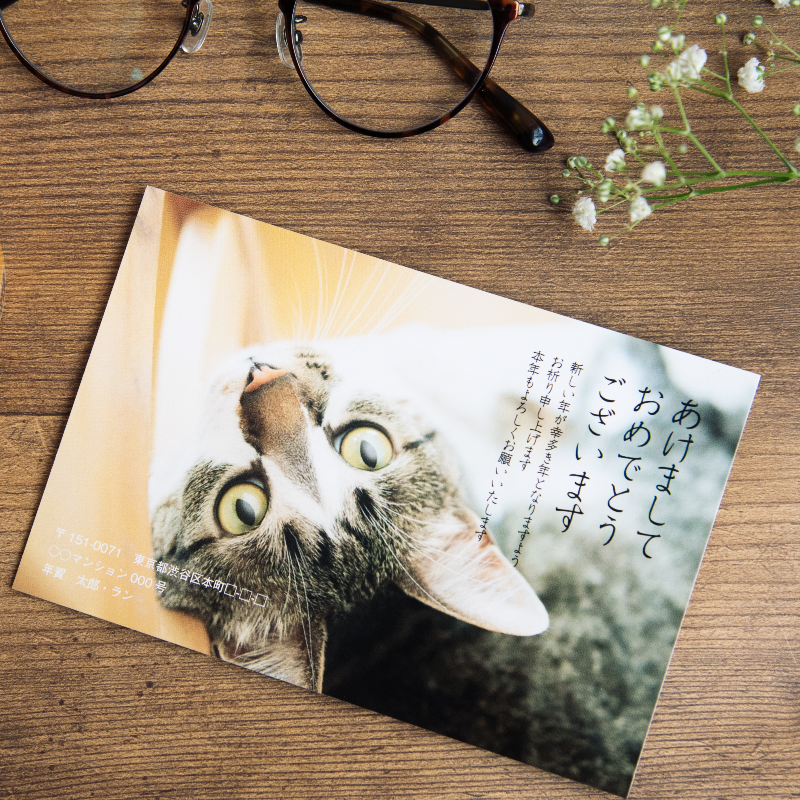glam_print's tweet photo. ／
#GLAMPRINT
リニューアルオープンまであと3日！
＼

年賀状のご注文スタートは10月1日から！

注文開始前に…
GLAM PRINT自慢のシンプルかつオシャレなデザインをチラ見せします♪

皆さんはどのデザインが気になりますか？
ぜひリプライなどで教えて下さいね✨

#2022年年賀状 #寅年