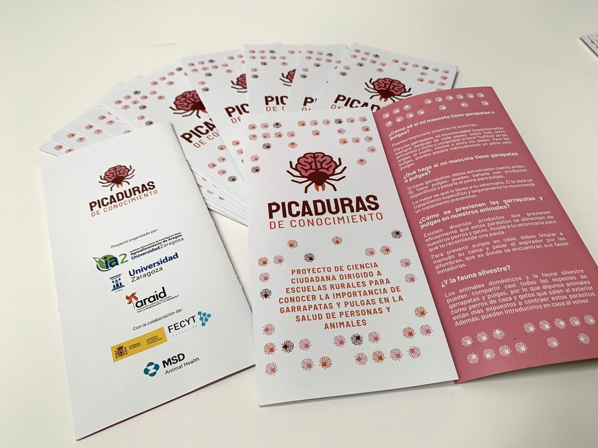 ESCIENCIA's tweet photo. ¿Qué hacer si te pica una pulga o garrapata?
#PicadurasdeConocimiento
Un proyecto del @IA2_UZ_CITA con la colaboración de @FECYT_Ciencia https://t.co/SxiRhwT1f0