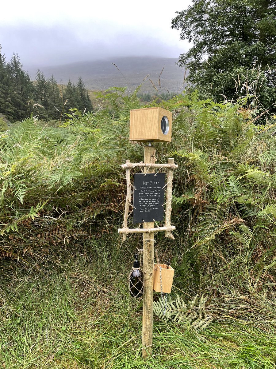 Dr_Weez's tweet photo. That’s a wrap on filigree traces at @sanctuarylab. What an amazing weekend of art, environment and people, including my team of student helpers who made the whole thing possible. So nice to be back to making work in public again https://t.co/Kauxiif93t