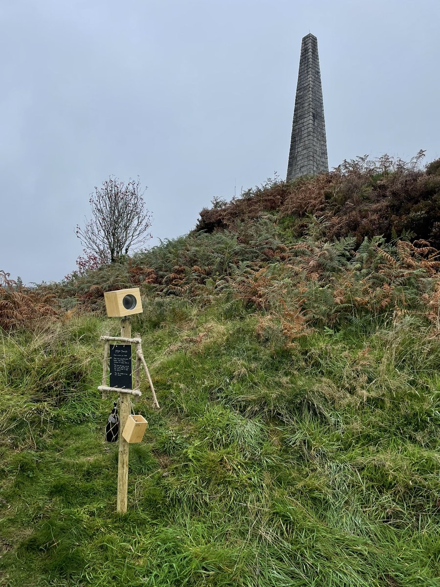 Dr_Weez's tweet photo. That’s a wrap on filigree traces at @sanctuarylab. What an amazing weekend of art, environment and people, including my team of student helpers who made the whole thing possible. So nice to be back to making work in public again https://t.co/Kauxiif93t