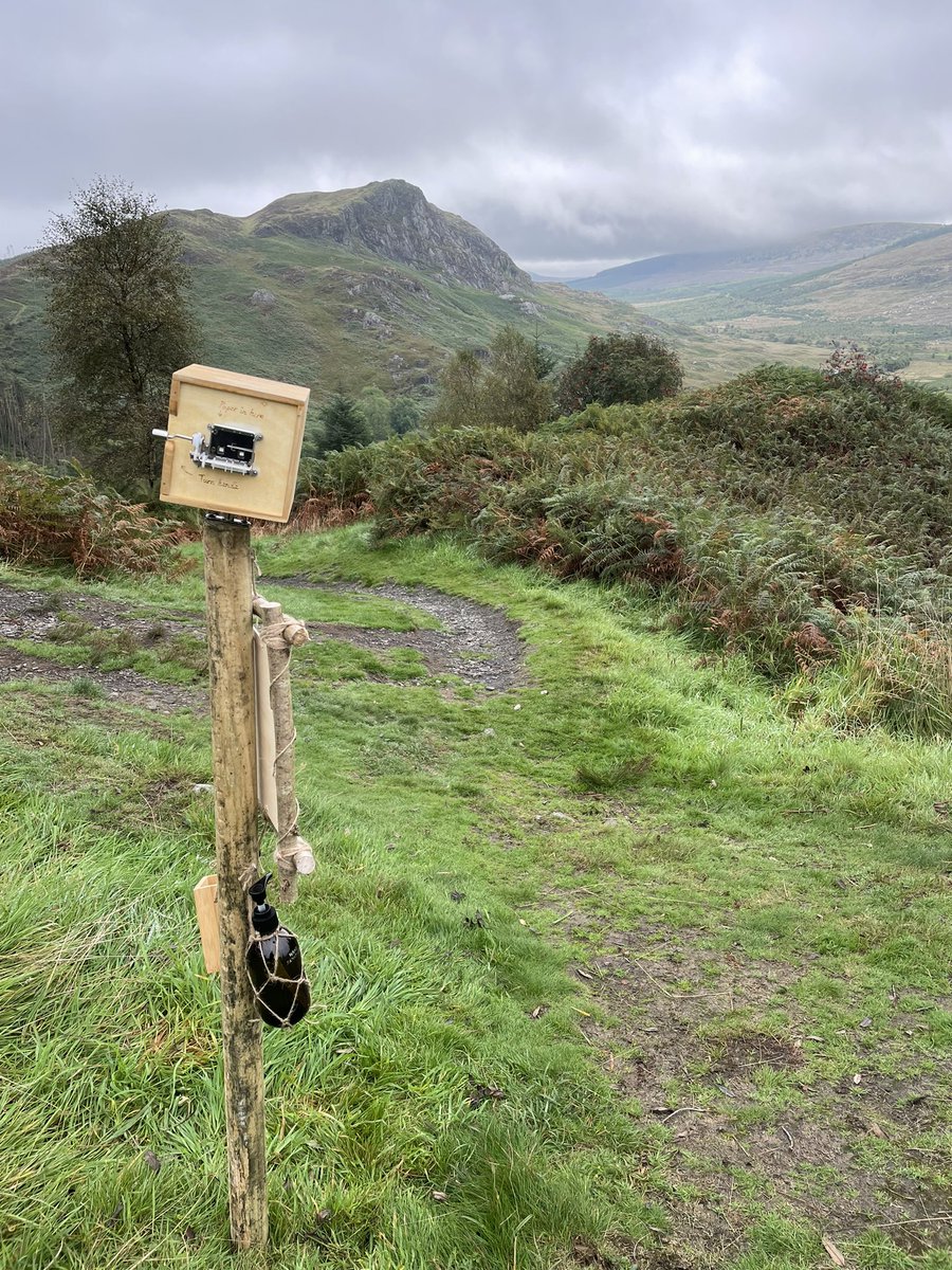 Dr_Weez's tweet photo. That’s a wrap on filigree traces at @sanctuarylab. What an amazing weekend of art, environment and people, including my team of student helpers who made the whole thing possible. So nice to be back to making work in public again https://t.co/Kauxiif93t