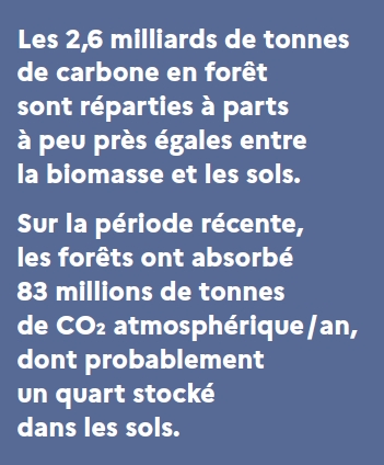 D'après les indicateurs de gestion durable réalisés par <a href="/IGNFrance/">IGN France</a> pour <a href="/Agri_Gouv/">Ministère Agriculture et Souveraineté alimentaire</a> avec <a href="/GIP_Ecofor/">GIP Ecofor</a> &amp; le bureau d'étude <a href="/INRAE_France/">INRAE</a> - <a href="/AgroParisTech/">AgroParisTech</a> : Les #forêts de 🇫🇷 métropolitaine représentent un réservoir de 2⃣,6⃣ milliards de tonnes de #carbone.
Thread 👇 #LaForêtEnsemble