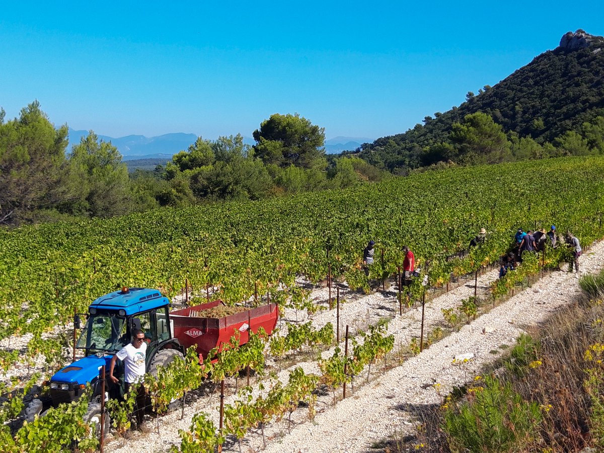 Gabriel Meffre tweet media