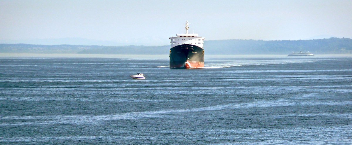 EsgianAnalytics's tweet photo. Check out @EsgianAnalytics latest blog post: Another shipping emissions cost system on the drawing board...but key items remain unaddressed
https://t.co/1l8n0yCNca https://t.co/lXnRVOGibe