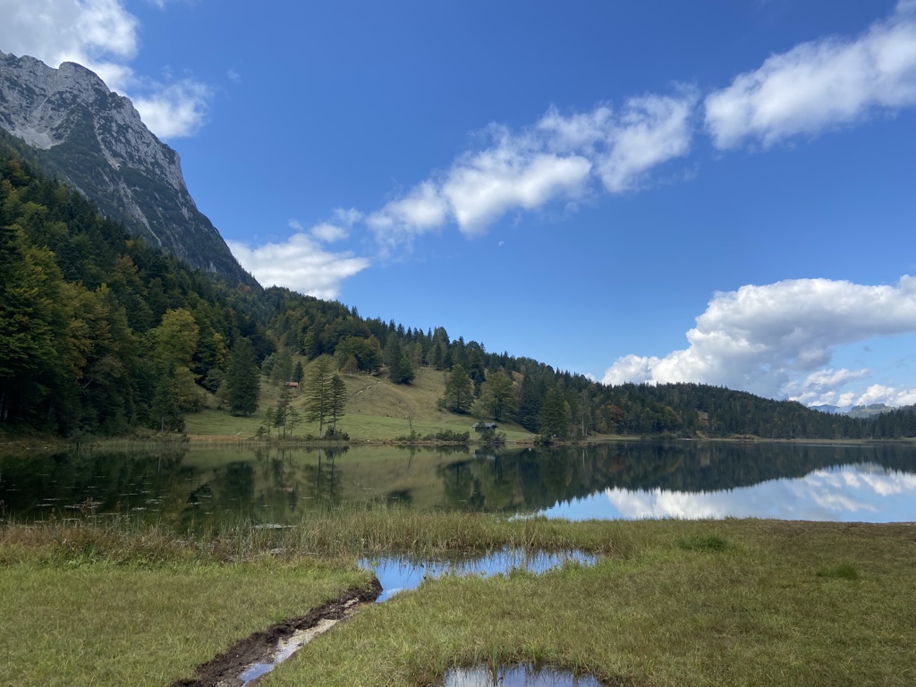 David Aaronovitch tweet media