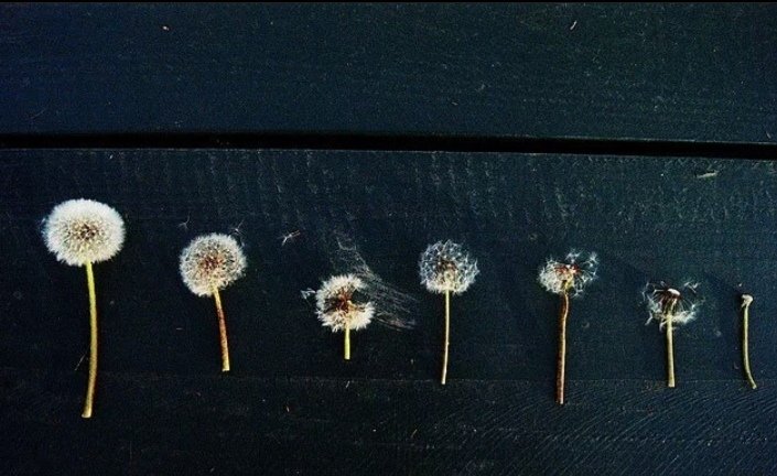 Ben o kapıyı çalmayı ,
Başkalarına nasıl açtığını gördüğüm an bıraktım ..