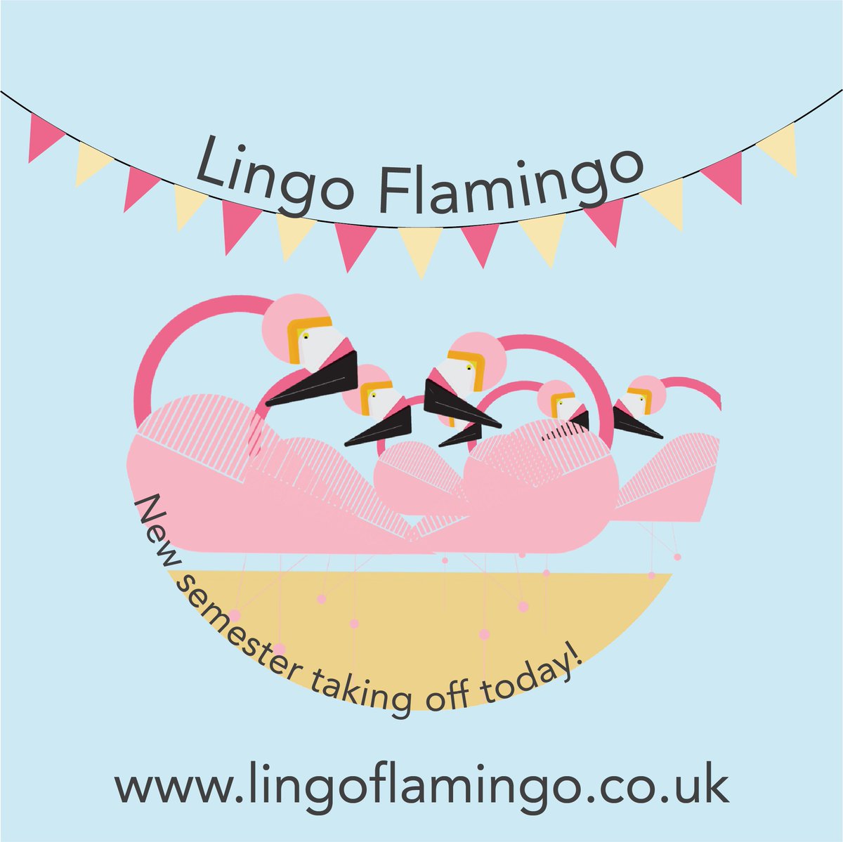 lingoflamingo1's tweet photo. Bienvenu to all our students! Our new block of classes begins TODAY! Thank you so much for supporting our work and for allowing us to join you on your language journey! We are so excited to learn with you all. Hasta luego! ๐
#languagelearning #dementiaawareness #LearnWithLingo https://t.co/p59f3Xv948