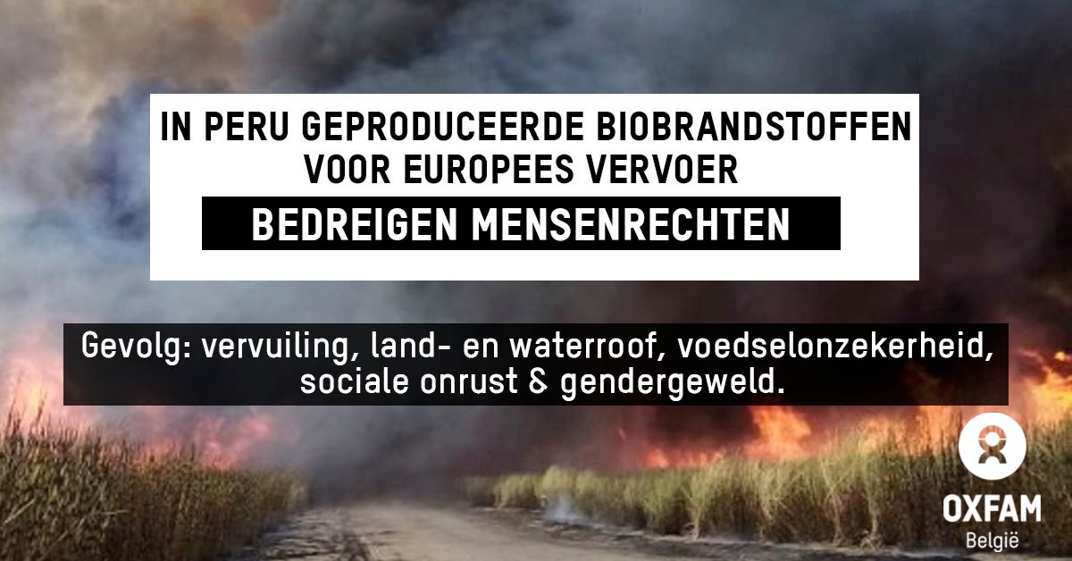 OxfamBE's tweet photo. 🇧🇪 Volgens de Belgische overheid zijn #biobrandstoffen geen bedreiging voor de mensenrechten.
@OxfamBE & @OxfamenPeru deden nochtans 1 casestudy in Peru en ontdekten dat ons biobrandstoffenbeleid een ramp betekende voor 40.000 Peruanen 👩🏽🌾.
@FODEconomie @be_gezondheid https://t.co/fFaNp7Roxk