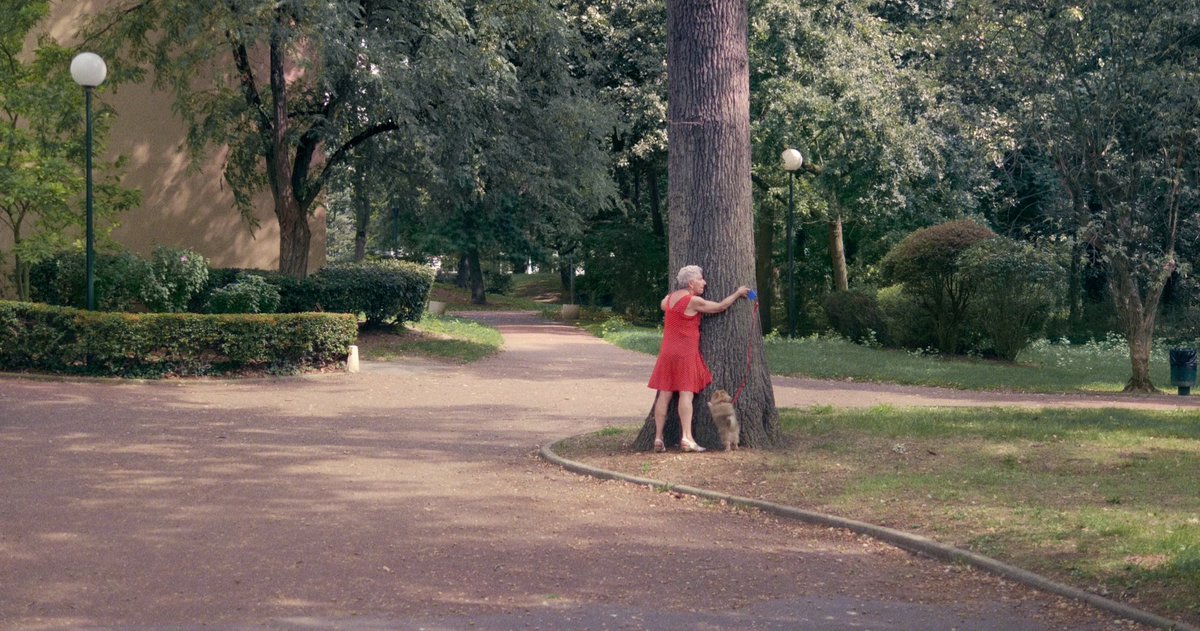 shellacfilms's tweet photo. 💌 Cartes postales utopiques n°8
Les Châteaux Brûloirs, Cergy
Place des Arts, Cergy
J'AI AIMÉ VIVRE LÀ, le nouveau documentaire de Régis Sauder, au cinéma le 29 septembre. Avec la participation et les textes de #AnnieErnaux.
#shellacfilms https://t.co/HShJy6LnZL