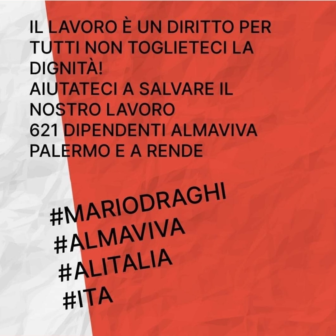 Daniela Lo Nardo tweet media