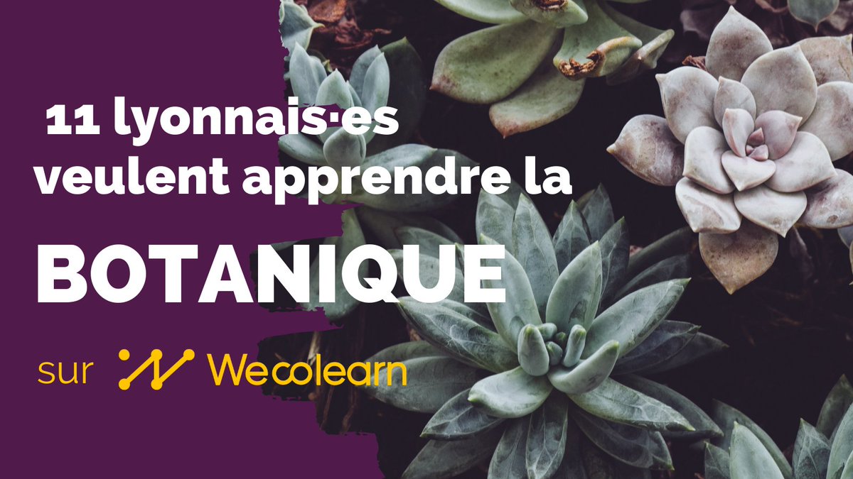 Envie de devenir incollable sur les végétaux ? Déjà 11 personnes veulent apprendre la botanique sur Wecolearn ! Rencontrez-les dès maintenant en vous inscrivant sur l'application 😉

#Lyon #peerlearning #botanique