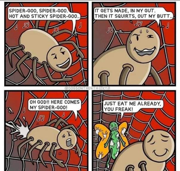 Dirty Magic (@fvckyoudonohue) on Twitter photo 