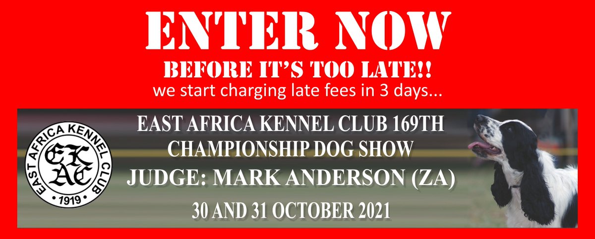 ENTRIES CLOSE IN 3 DAYS! 
mailchi.mp/2e78ea2ae558/c…