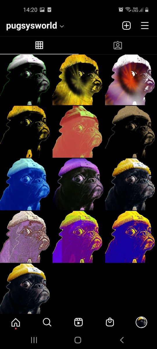 CryptoPug7's tweet photo. @cryptoBILLnfts https://t.co/5uSt3zoIK1