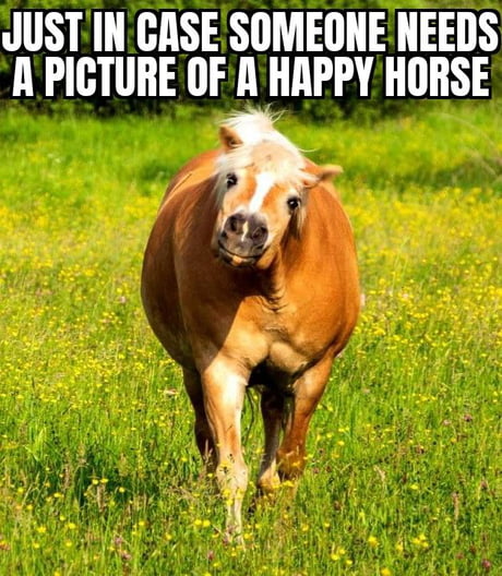 Wormers-Direct tweet media