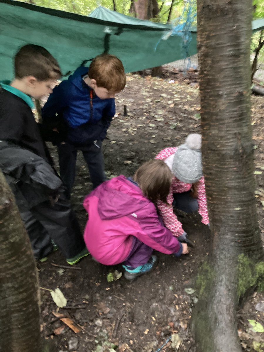 BalgreenPrimary's tweet photo. #Primary4b have been learning all about hedgehogs 🦔 we have been working together to build dark, damp homes for the hedgehogs to hibernate in 🍃 🏠 https://t.co/YS5IyCaIs1