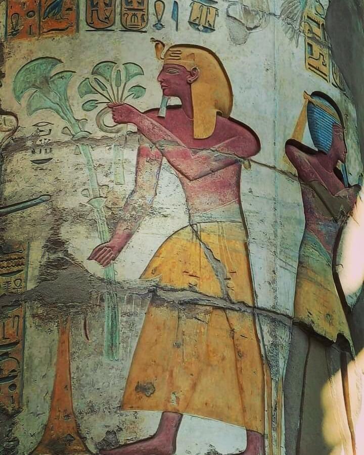ManamiYahata's tweet photo. #Egypt After restoration the #HypostyleHall at the #KarnakTemple, #Luxor EastBank. 
エジプト #ルクソール東岸  #カルナック神殿 #大列柱室 修復後美しく蘇った壁画❣️
Photos @ Dr.Mostafa Waziry &amp; Mo Saidi. https://t.co/MpdMLGl6km