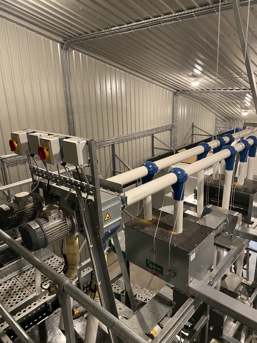 Dave Johnstone tweet media