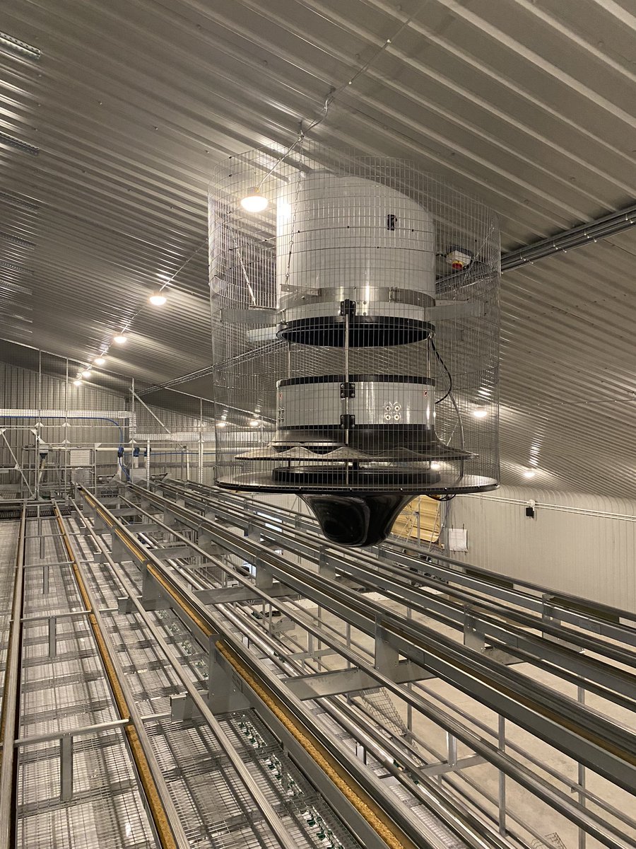 Dave Johnstone tweet media